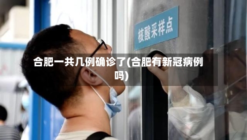 合肥一共几例确诊了(合肥有新冠病例吗)