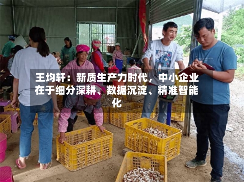 王均轩：新质生产力时代，中小企业在于细分深耕、数据沉淀、精准智能化