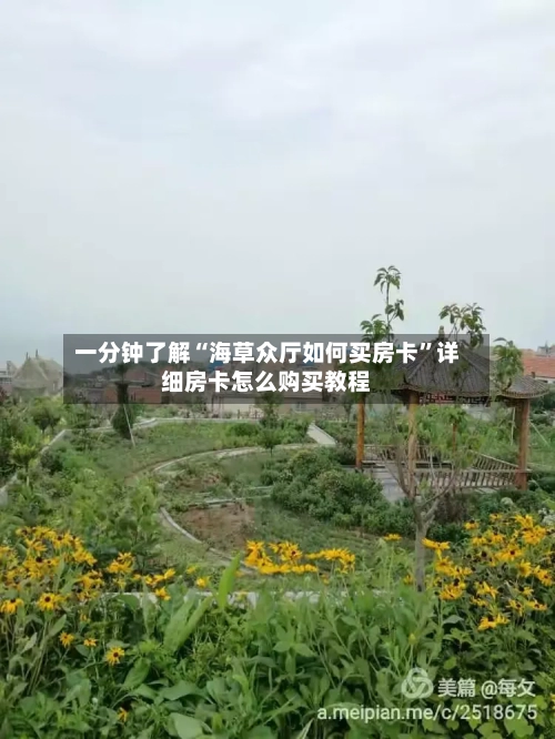 一分钟了解“海草众厅如何买房卡	”详细房卡怎么购买教程-第2张图片