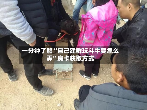 一分钟了解“自己建群玩斗牛要怎么弄”房卡获取方式