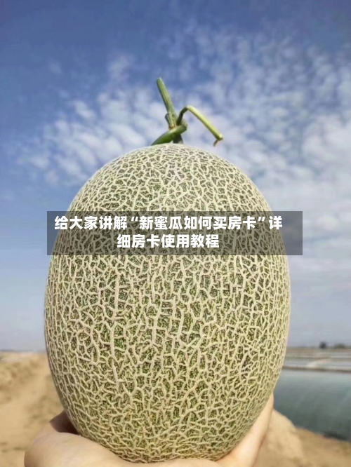 给大家讲解“新蜜瓜如何买房卡”详细房卡使用教程