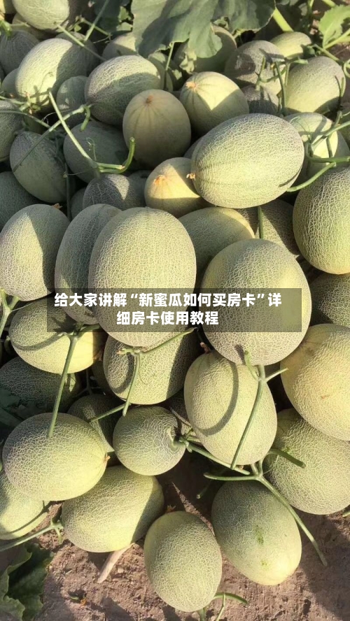 给大家讲解“新蜜瓜如何买房卡”详细房卡使用教程-第3张图片