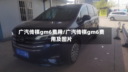 广汽传祺gm6费用/广汽传祺gm6费用及图片-第2张图片