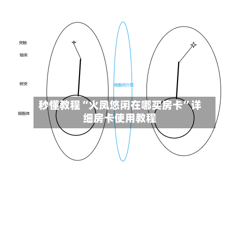 秒懂教程“火凤悠闲在哪买房卡	”详细房卡使用教程-第2张图片