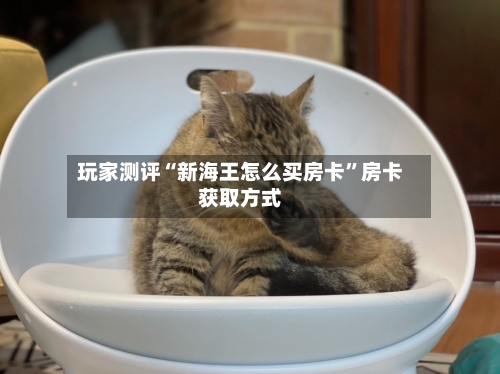 玩家测评“新海王怎么买房卡	”房卡获取方式-第3张图片