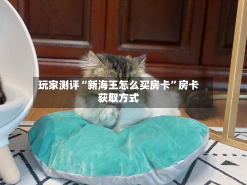 玩家测评“新海王怎么买房卡”房卡获取方式-第2张图片