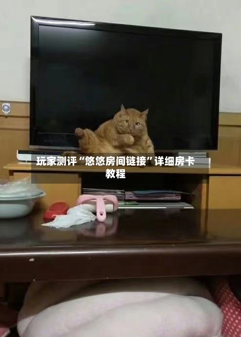 玩家测评“悠悠房间链接	”详细房卡教程-第2张图片