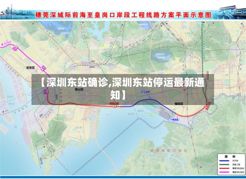 【深圳东站确诊,深圳东站停运最新通知】