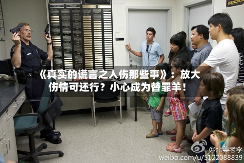 《真实的谎言之人伤那些事》:放大伤情可还行?小心成为替罪羊!-第2张图片