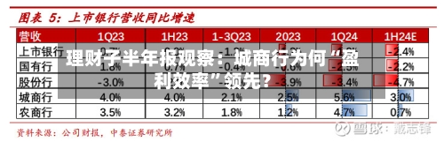 理财子半年报观察：城商行为何“盈利效率”领先？