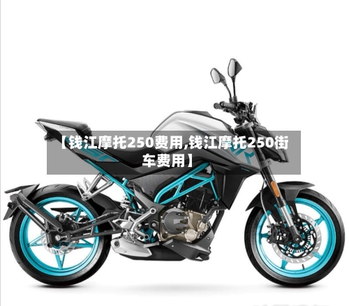 【钱江摩托250费用,钱江摩托250街车费用】-第3张图片