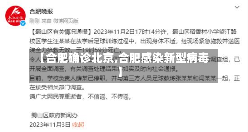 【合肥确诊北京,合肥感染新型病毒】