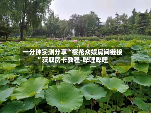 一分钟实测分享“樱花众娱房间链接”获取房卡教程-哔哩哔哩-第2张图片