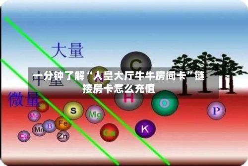 一分钟了解“人皇大厅牛牛房间卡”链接房卡怎么充值