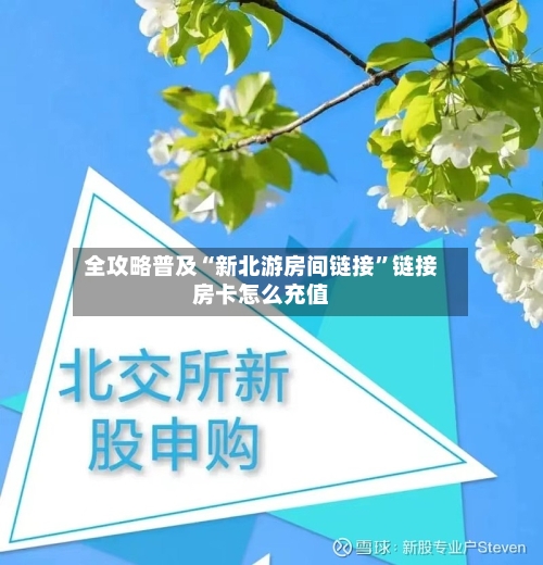全攻略普及“新北游房间链接”链接房卡怎么充值-第2张图片