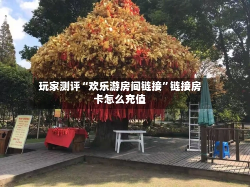玩家测评“欢乐游房间链接”链接房卡怎么充值-第2张图片