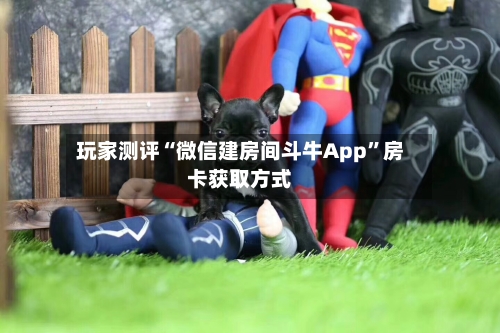 玩家测评“微信建房间斗牛App”房卡获取方式-第3张图片