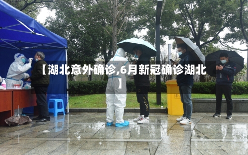 【湖北意外确诊,6月新冠确诊湖北】