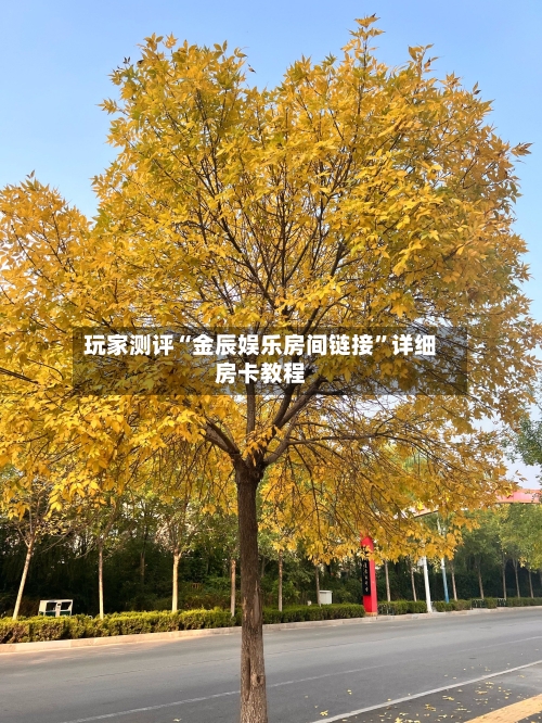 玩家测评“金辰娱乐房间链接”详细房卡教程-第2张图片