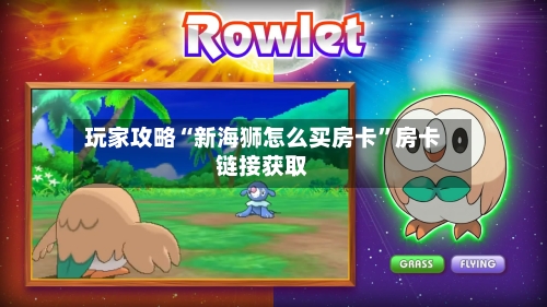 玩家攻略“新海狮怎么买房卡”房卡链接获取-第2张图片