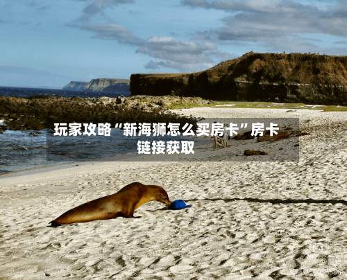 玩家攻略“新海狮怎么买房卡”房卡链接获取-第3张图片