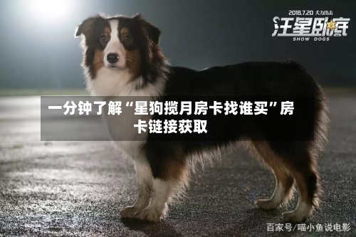 一分钟了解“星狗揽月房卡找谁买”房卡链接获取