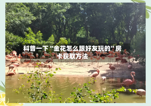 科普一下“金花怎么跟好友玩的”房卡获取方法