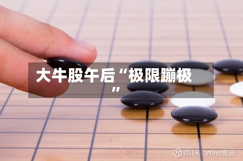 大牛股午后“极限蹦极”-第2张图片