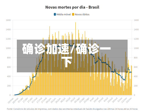 确诊加速/确诊一下