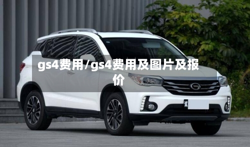 gs4费用/gs4费用及图片及报价-第2张图片