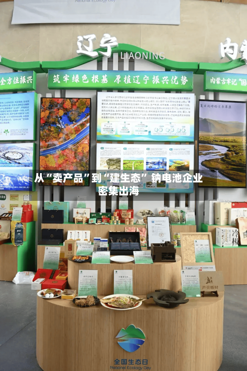 从“卖产品	”到“建生态” 钠电池企业密集出海-第2张图片