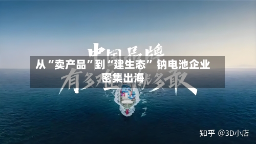 从“卖产品”到“建生态	” 钠电池企业密集出海-第3张图片