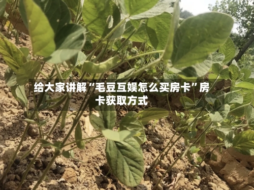 给大家讲解“毛豆互娱怎么买房卡”房卡获取方式-第2张图片
