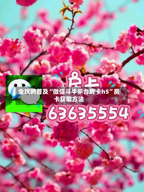 全攻略普及“微信斗牛平台房卡h5”房卡获取方法-第3张图片