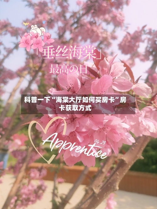 科普一下“海棠大厅如何买房卡”房卡获取方式-第3张图片