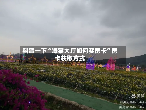 科普一下“海棠大厅如何买房卡”房卡获取方式-第2张图片