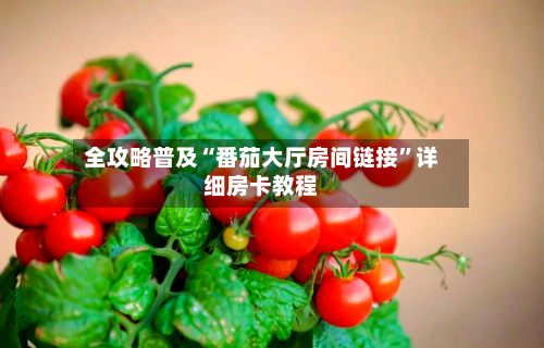 全攻略普及“番茄大厅房间链接”详细房卡教程