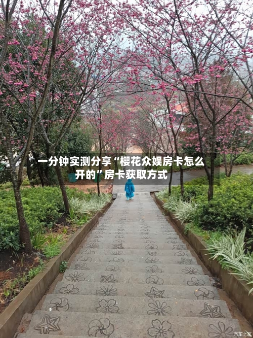 一分钟实测分享“樱花众娱房卡怎么开的”房卡获取方式-第3张图片