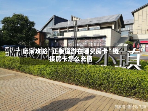 玩家攻略“正版道游在哪买房卡”链接房卡怎么充值-第3张图片