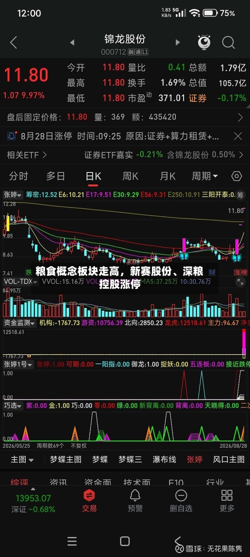 粮食概念板块走高	，新赛股份	、深粮控股涨停-第2张图片