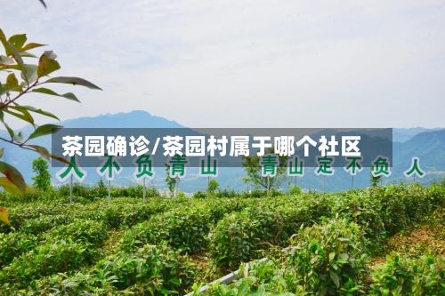 茶园确诊/茶园村属于哪个社区-第3张图片