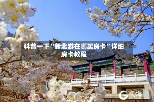 科普一下“新北游在哪买房卡	”详细房卡教程-第2张图片
