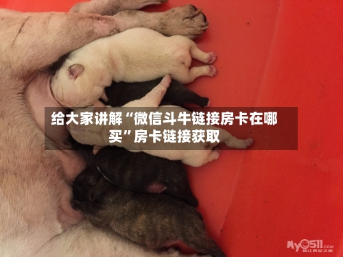 给大家讲解“微信斗牛链接房卡在哪买	”房卡链接获取-第2张图片