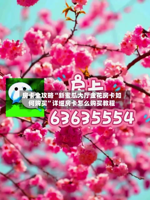 房卡全攻略“新蜜瓜大厅金花房卡如何购买”详细房卡怎么购买教程-第2张图片