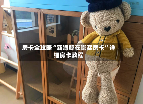 房卡全攻略“新海鲸在哪买房卡”详细房卡教程-第3张图片