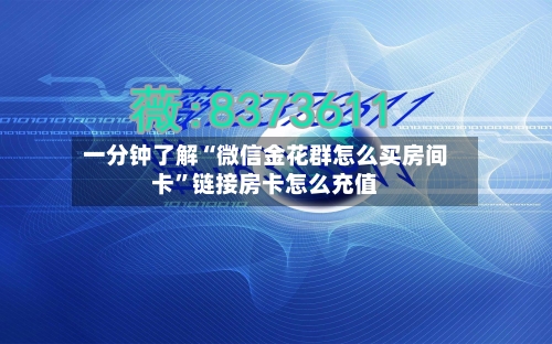 一分钟了解“微信金花群怎么买房间卡”链接房卡怎么充值-第2张图片