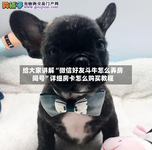 给大家讲解“微信好友斗牛怎么弄房间号”详细房卡怎么购买教程-第2张图片