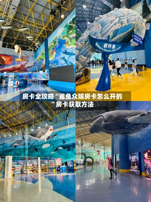 房卡全攻略“鲨鱼众娱房卡怎么开的	”房卡获取方法-第2张图片