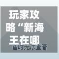 玩家攻略“新海王在哪买房卡”房卡获取方式-第3张图片
