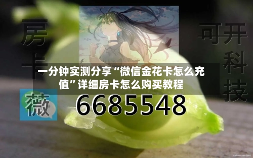 一分钟实测分享“微信金花卡怎么充值”详细房卡怎么购买教程-第3张图片